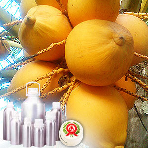 Coconut Carrier Oil